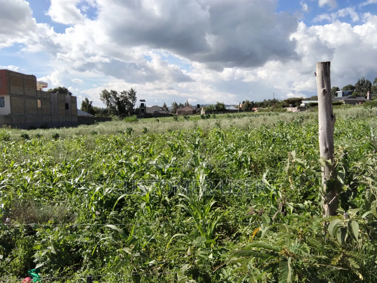Land for Sale in Naivasha