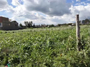 Land for Sale at Nyondia Town Centre