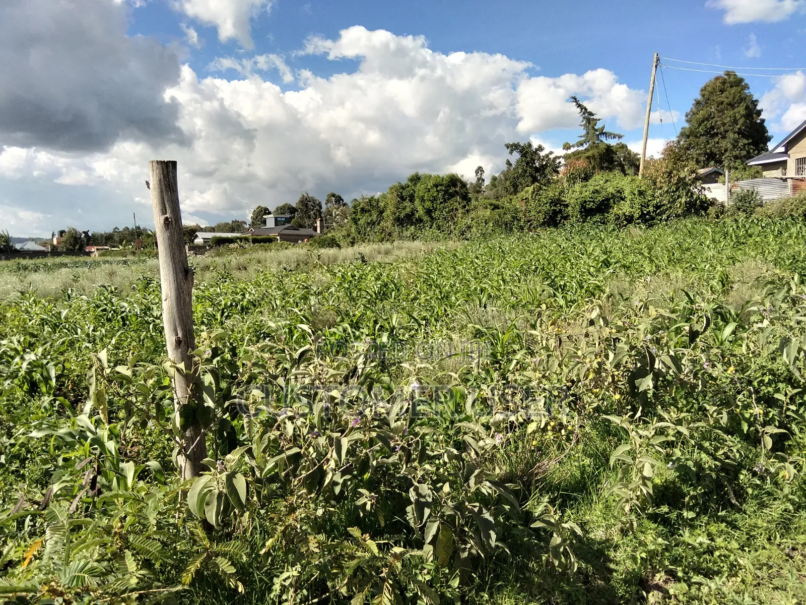 Land for Sale in Naivasha