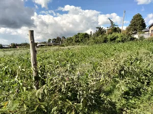 Land for Sale in Naivasha