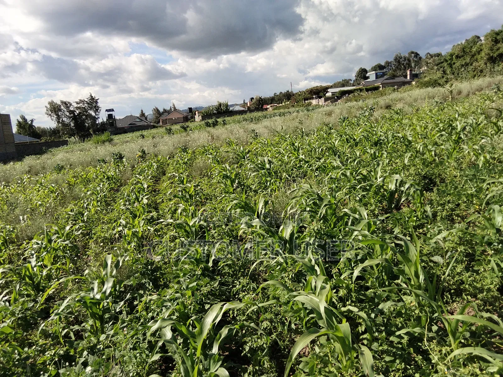 Land for Sale in Naivasha