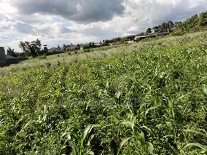 Land for Sale in Naivasha