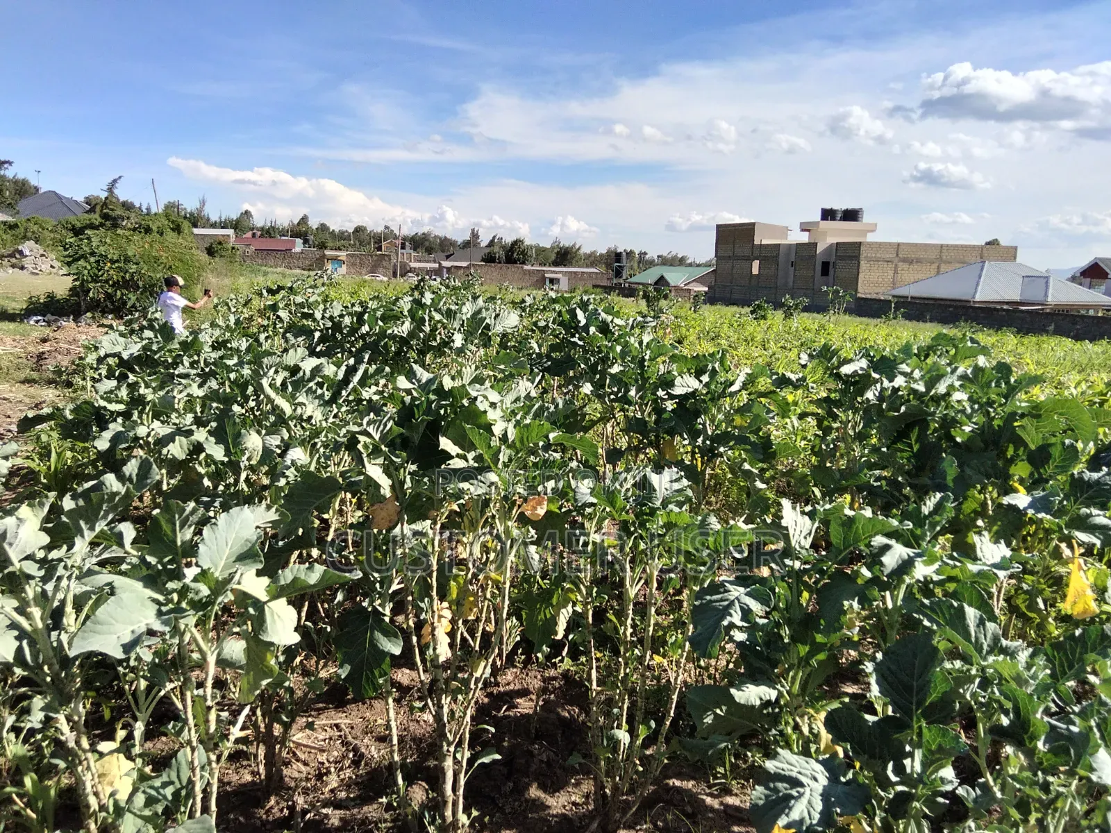 Land for Sale in Naivasha
