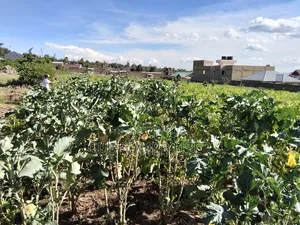 Land for Sale in Naivasha