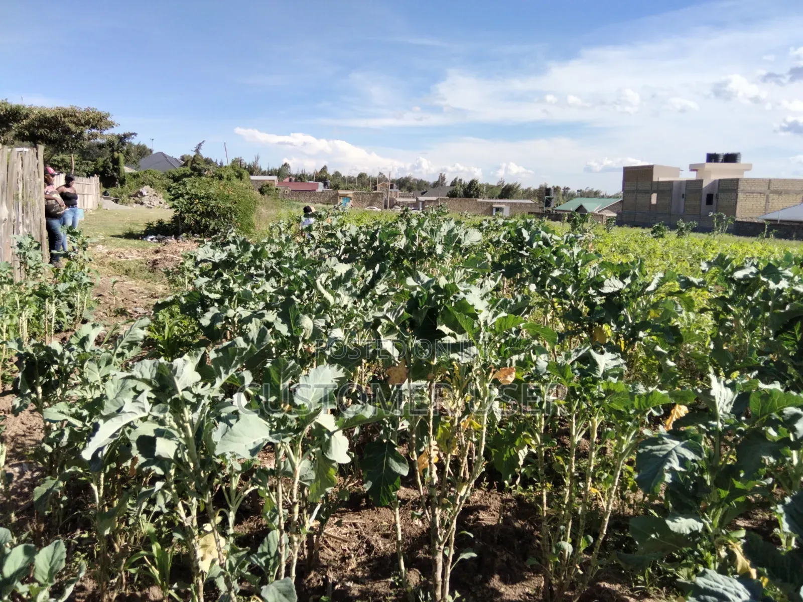Land for Sale in Naivasha