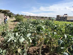 Land for Sale in Naivasha