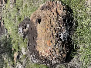 Prime 10-Acre Plot Near Kag University — Isinya, Kajiado