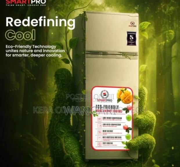Two Doored Roch 170l Fridge