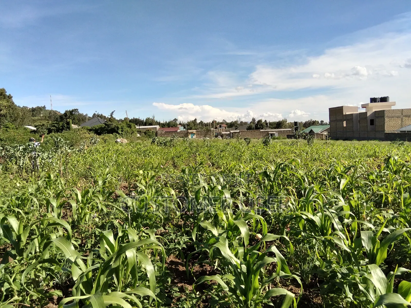 Land for Sale in Naivasha