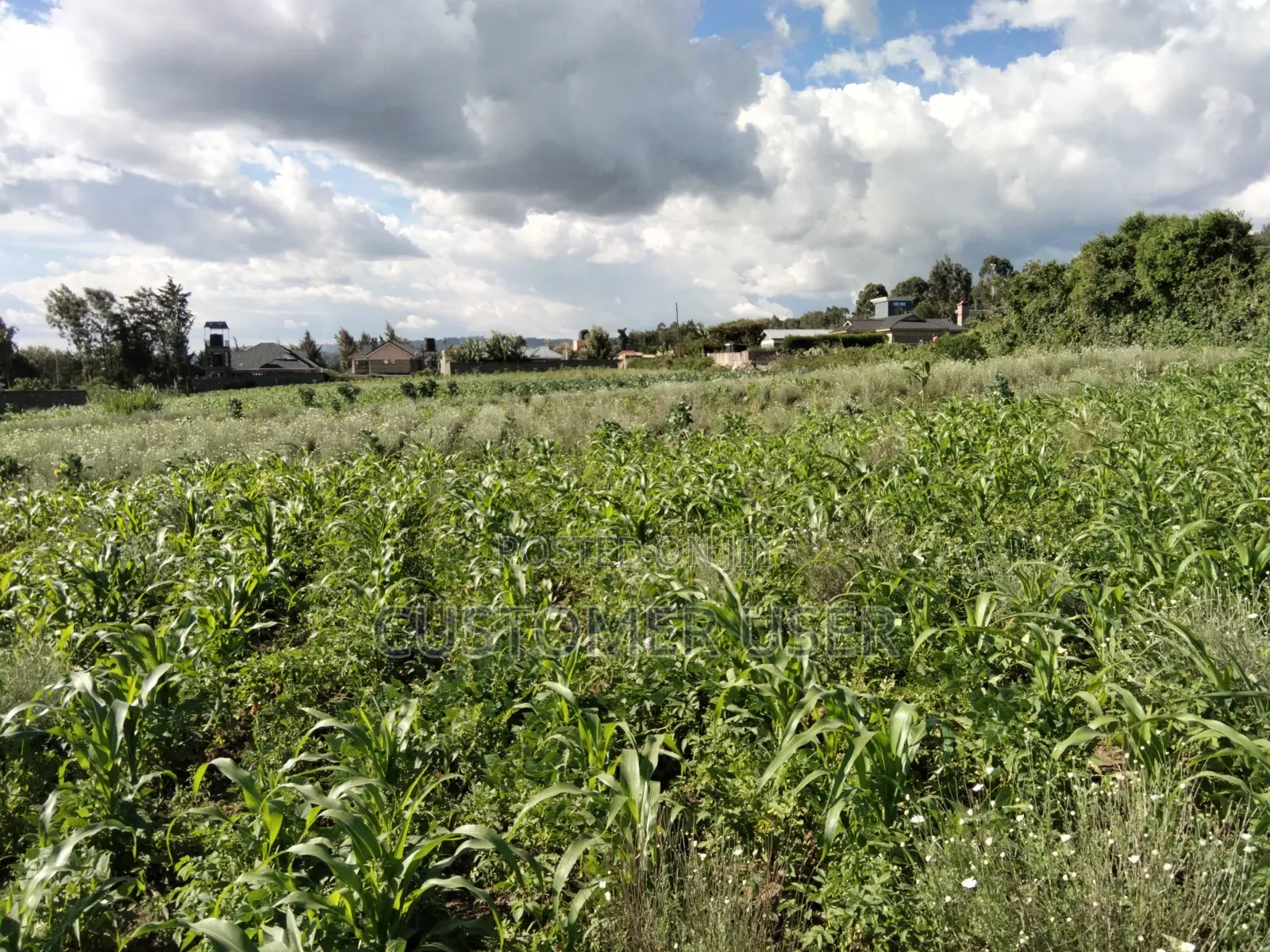 Land for Sale in Naivasha