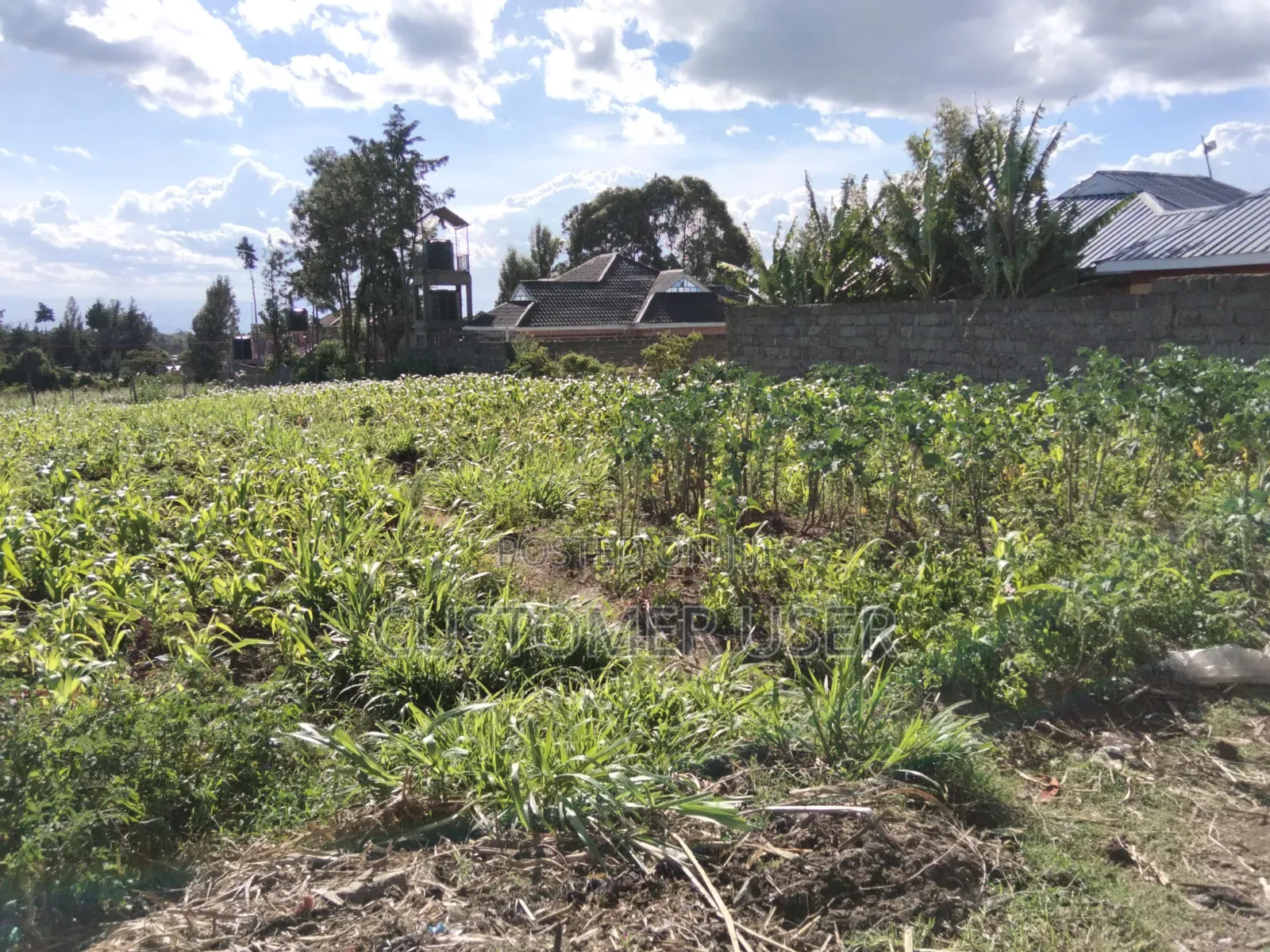 Land for Sale in Naivasha