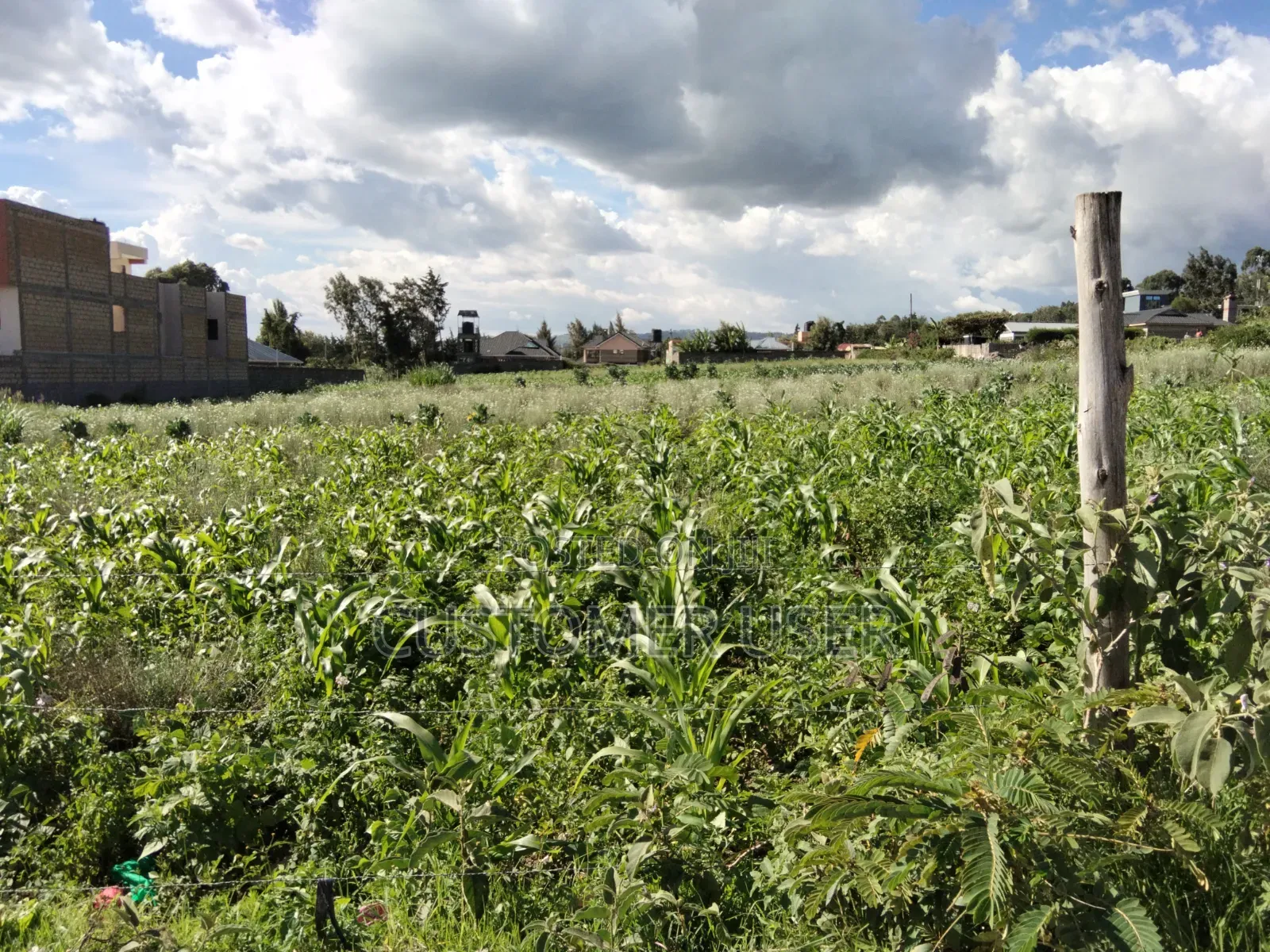 Land for Sale in Naivasha