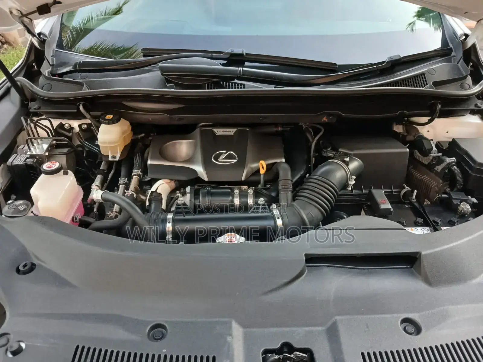 Lexus RX 300 2WD 2020 White