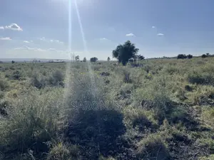 Prime 0.5-Acre Plots 200m Off Kiserian-Isinya Rd at Sathya Sai School