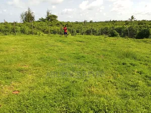1/8 Acre Plot Malindi