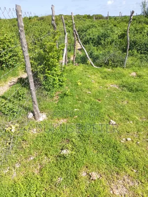 1/8 Acre Plot Malindi
