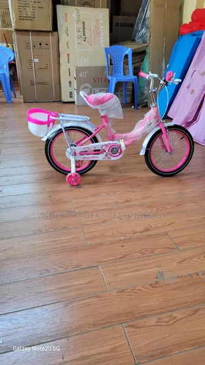 Lady Bird 16-Inch Model Hot Pink