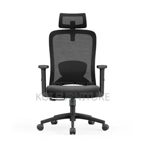 Office Chairs; Orthopedic Mesh Chair With Adjustable Lever