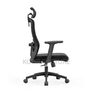 Office Chairs; Orthopedic Mesh Chair With Adjustable Lever