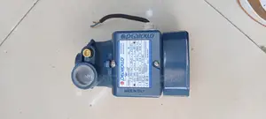 Pedrollo Boaster Pump