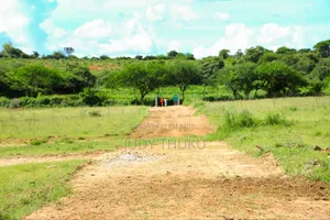 Neema Gardens Matuu
