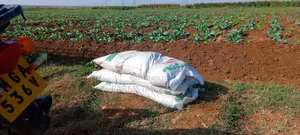 Evergrow Organic Farm Fertilizer - 50kg