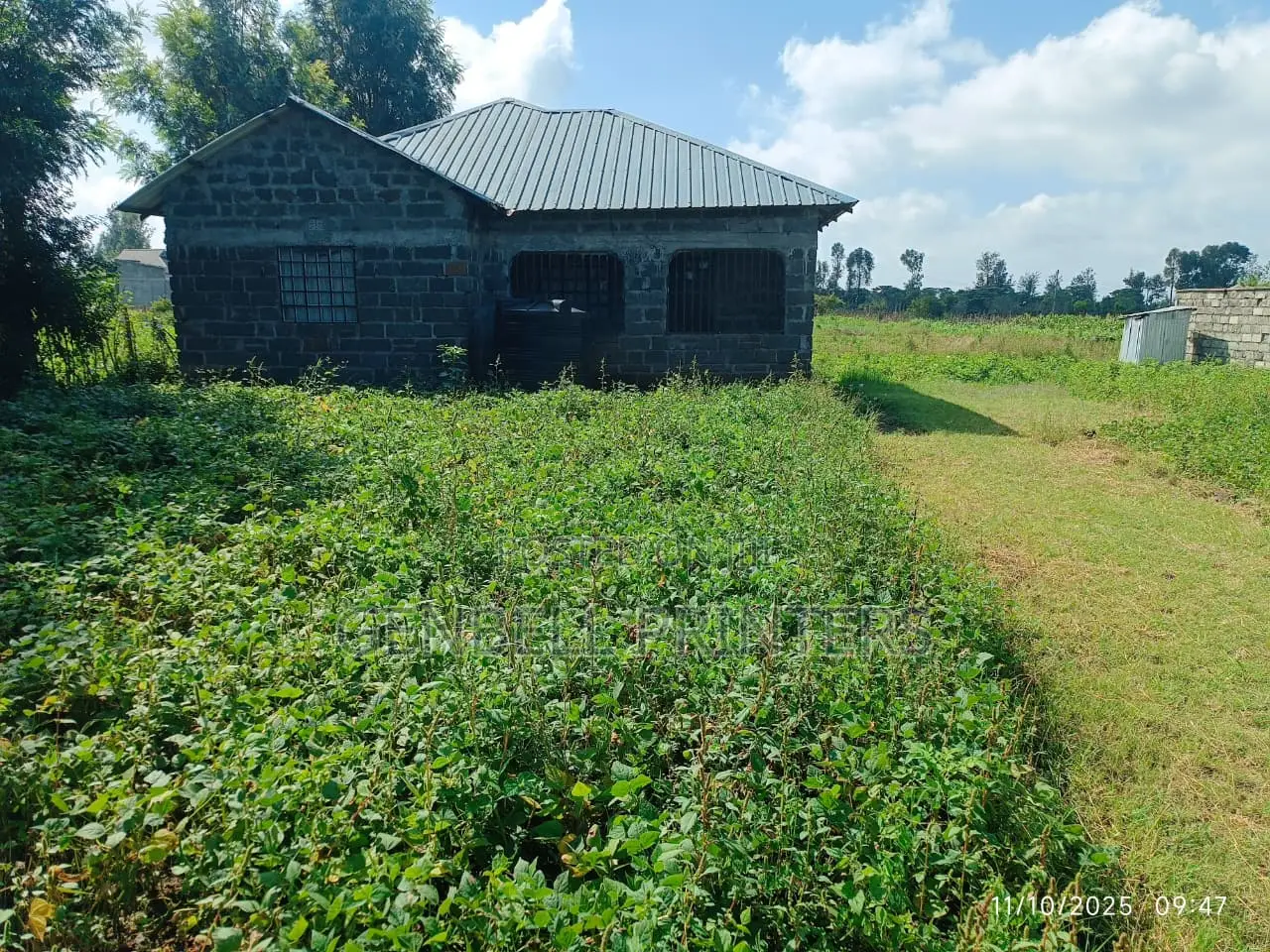 1/4 Acre Plot For Sale In Barnabas