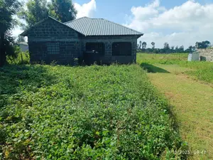 1/4 Acre Plot For Sale In Barnabas