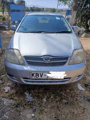 Toyota Corolla Fielder 2006 Silver