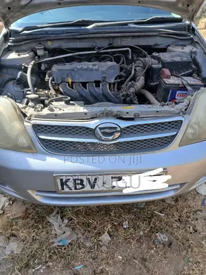 Toyota Corolla Fielder 2006 Silver