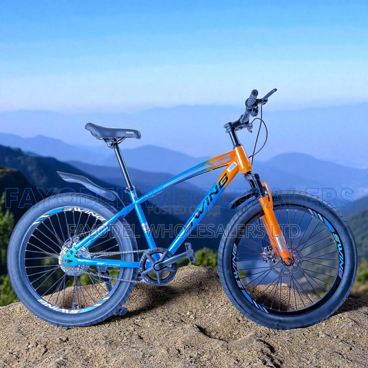Swing Size 24 With Front Suspension and Disc Brakes
