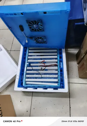 Fully Automatic 64 Egg Incubator