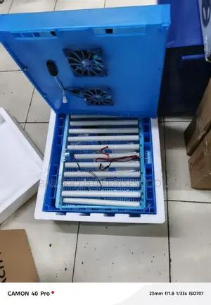 Fully Automatic 64 Egg Incubator