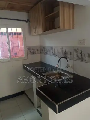 1bdrm Bedsitter in Mwembelegeza, Mtambo for rent