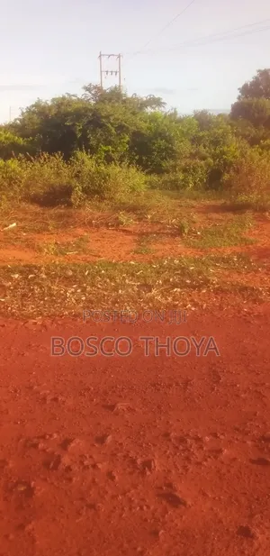 Looking for a Buyer of Land
