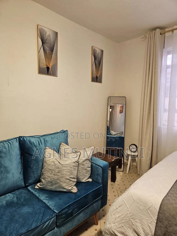 Airbnb Available for Both Long Term and Short Term Stays in South B. - thumbnail 3
