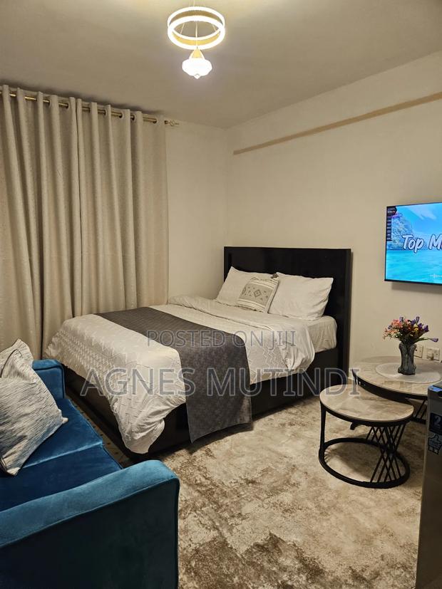 Airbnb Available for Both Long Term and Short Term Stays in South B. - thumbnail 5