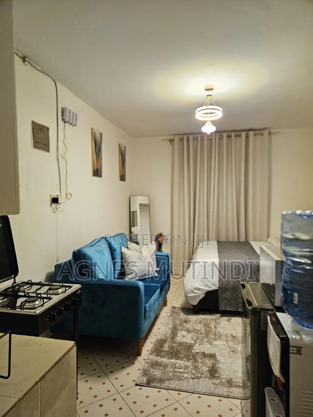 Airbnb Available for Both Long Term and Short Term Stays in South B. - thumbnail 7