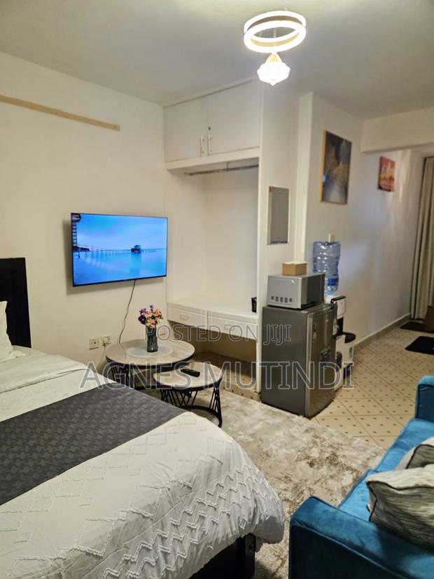Airbnb Available for Both Long Term and Short Term Stays in South B. - thumbnail 10