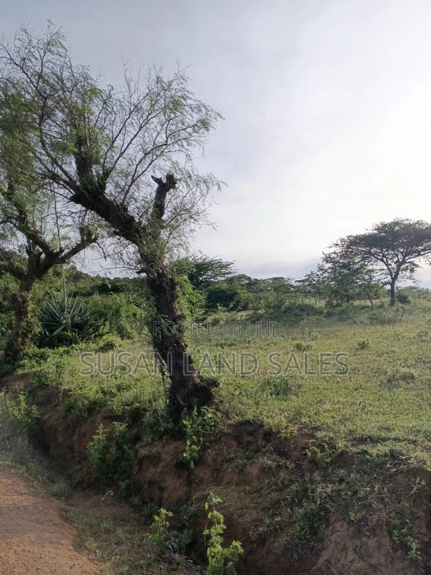 7 Acres Nanyuki. Touching Tarmac and a Permanent River.