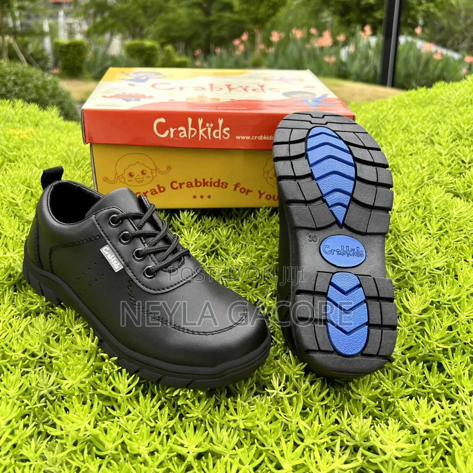 Crabkids School Shoes