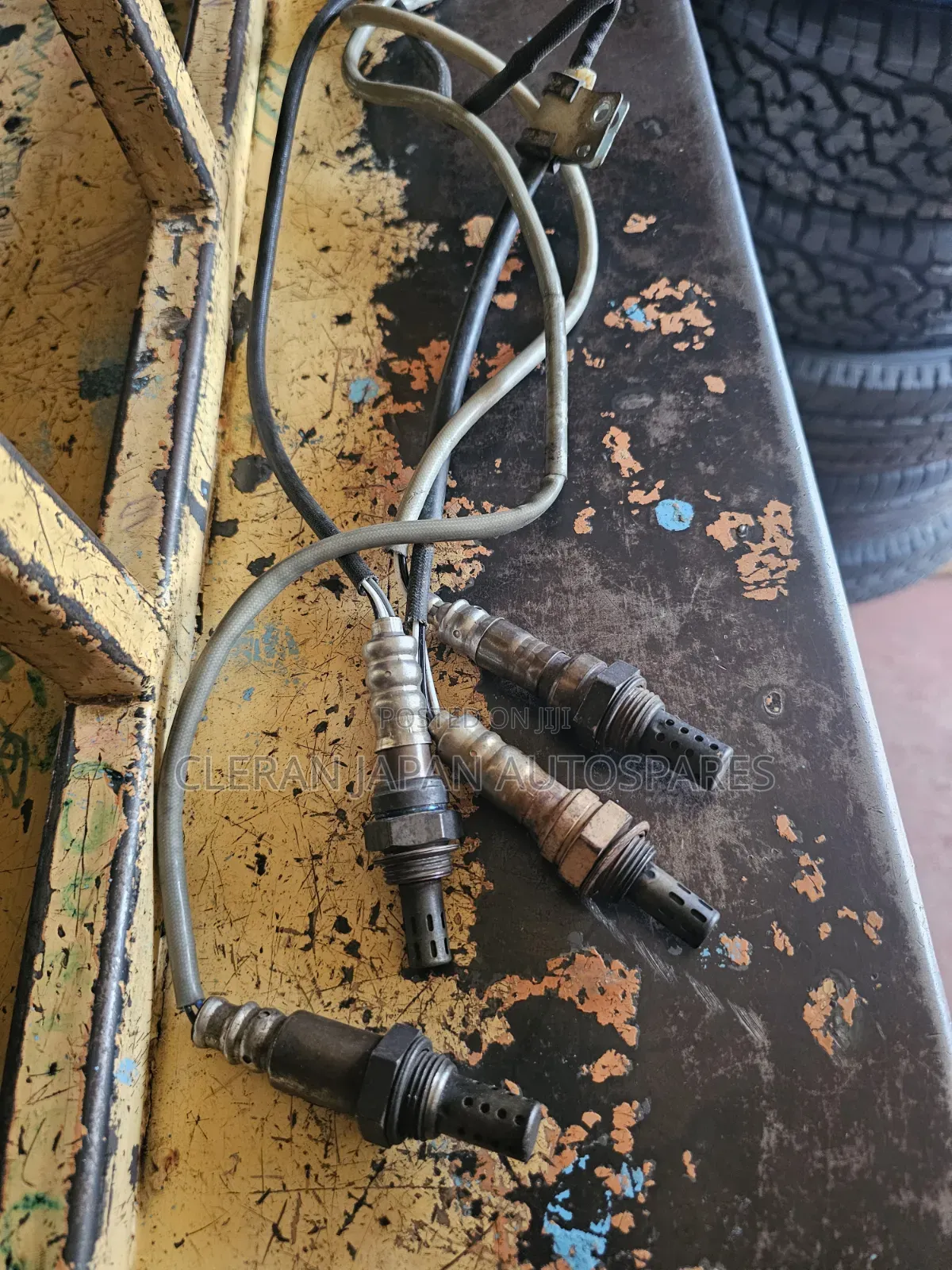 Oxygen Sensors