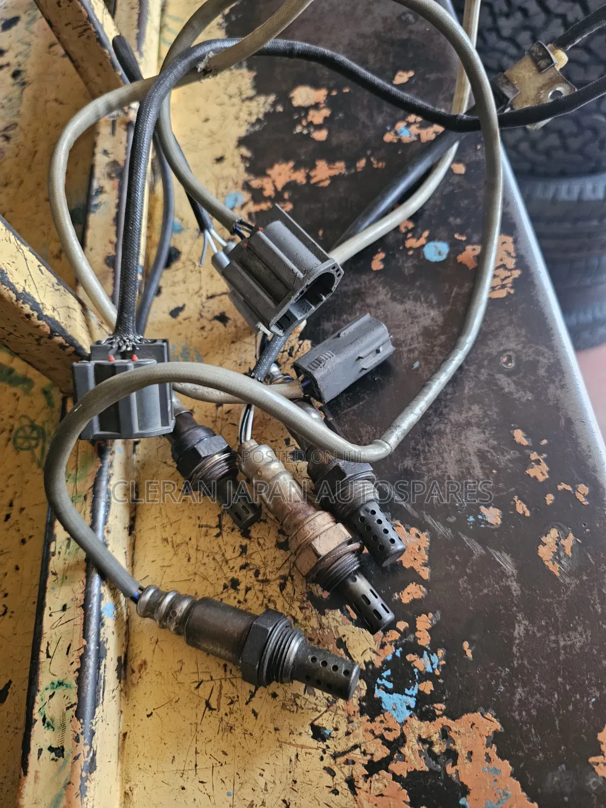 Oxygen Sensors