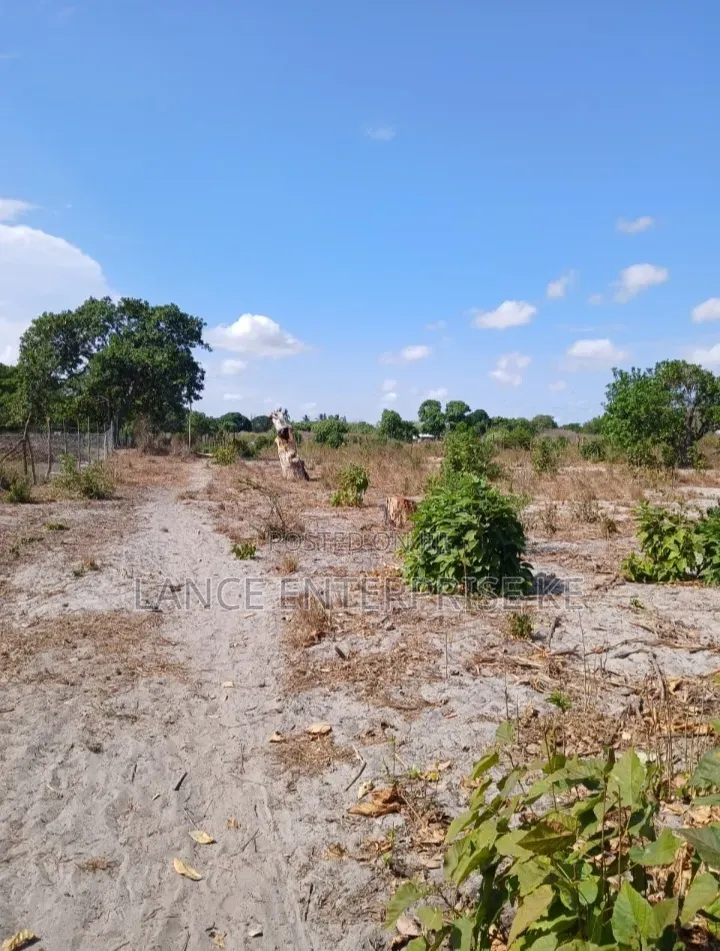 Jacaranda 50x100 Prime Beach Plot