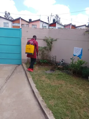 Regular House Fumigation Services in Fedha