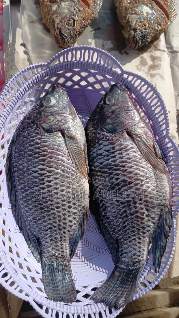 Fish.Fried and Fresh Fish - thumbnail 3