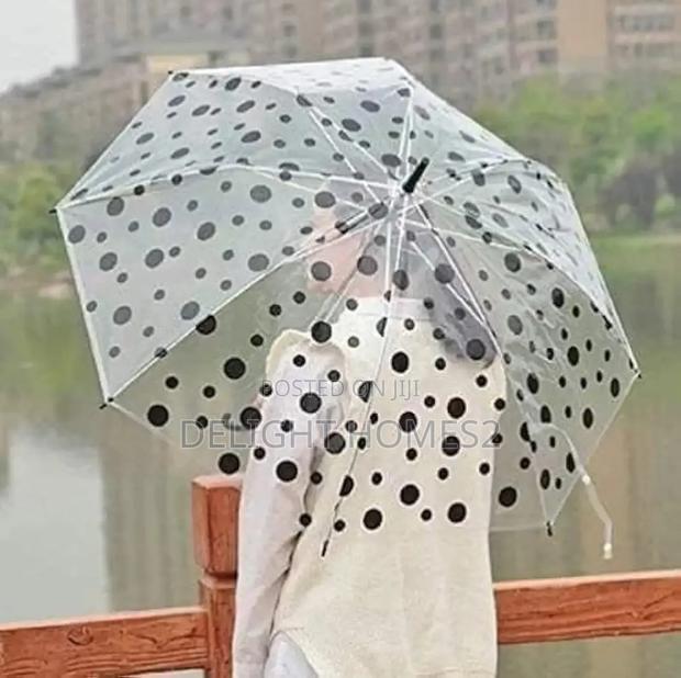 Transparent Polka Dot Umbrella_ulti