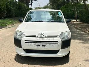 Toyota Probox 1.5 DX 4WD 2019 White