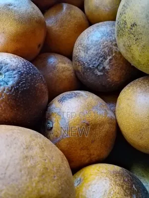 Farm Fruits and Vegetables