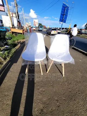 Plastic Salon Chair